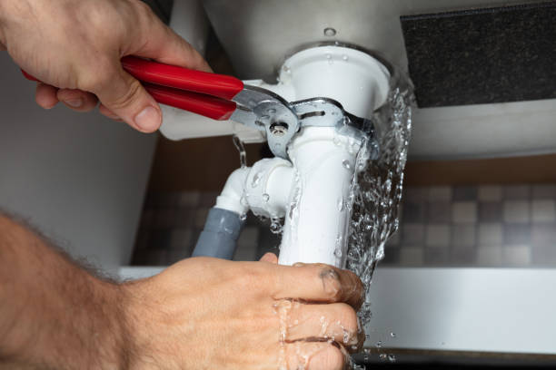 Best Professional water damage repair  in Batavia, IL