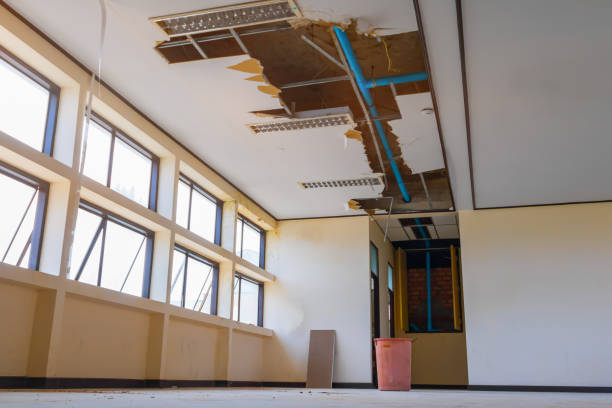 Best Water damage restoration near me  in Batavia, IL