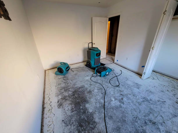 Best Professional water damage repair  in Batavia, IL