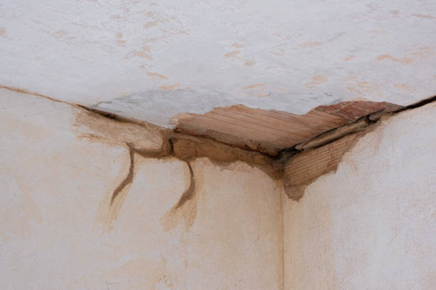Best Commercial water damage restoration  in Batavia, IL