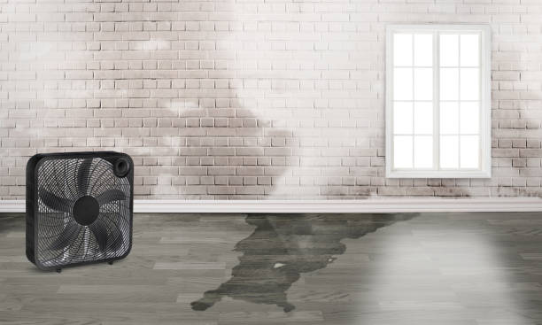 Best Water damage restoration near me  in Batavia, IL