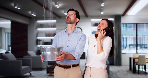 Best Flood restoration services  in Batavia, IL